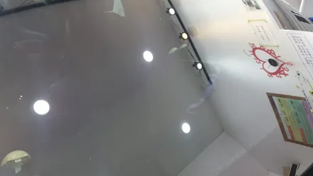 부산 자동차 유리기스, 수세미 기스 제거 깔끔하게 해결 / 부산 해운대