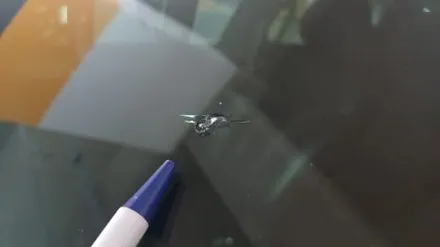 부산자동차유리복원 앞 유리 돌빵 수리 후기 / 부산 해운대