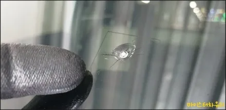 마산자동차유리복원 포터 앞유리돌빵 수리 후기 / 부산 해운대
