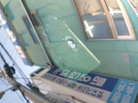 사상구 사하구 자동차유리복원 다대포 유리용접 돌빵수리 / 부산 해운대