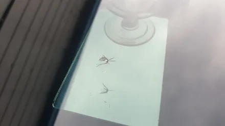 부산유리복원 돌빵 수리 / 부산 해운대