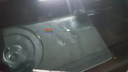 부산자동차유리복원 전문시공점 작업 후기 / 부산 해운대