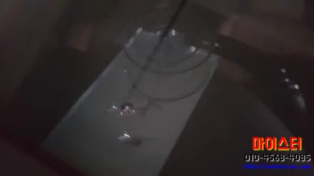 양산유리복원 렉서스 증산 자동차유리용접 해결 / 부산 해운대