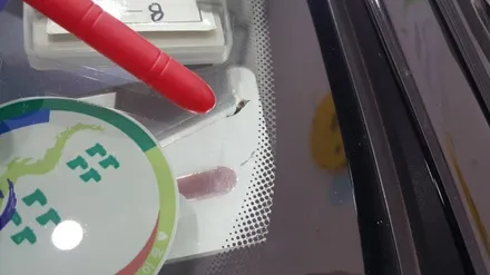 부산자동차앞유리복원 제네시스 유리용접 수리 / 부산 해운대