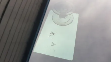 부산유리복원 돌빵 수리 / 부산 해운대