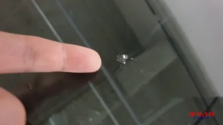 부산유리복원 차량 앞 유리 돌빵 수리 전문점! / 부산 해운대