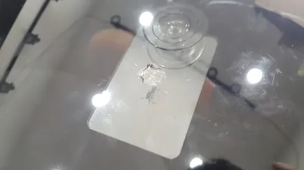 부산자동차유리복원 비용 가격!! 가성비 최고 마이스터 / 부산 해운대
