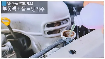 자동차 냉각수 부동액 차이점, 교체 교환 주기 및 비용 가격까지 총정리 / 부산 해운대