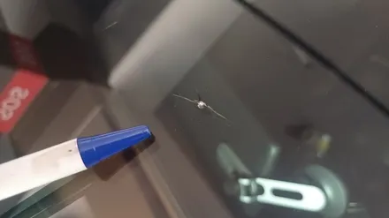 김해자동차유리복원 돌빵 용접 잘하는 곳 / 부산 해운대