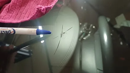 사하구자동차유리복원 차유리돌빵 수리 비용, 방법 확인 / 부산 해운대