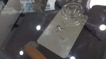 부산자동차유리복원/용접 마이스터차유리 / 부산 해운대