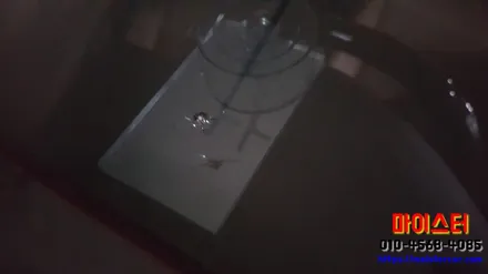 양산유리복원 렉서스 증산 자동차유리용접 해결 / 부산 해운대