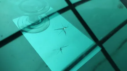 김해 율하 장유 자동차 유리복원 출장으로 돌빵 용접됩니다 / 부산 해운대