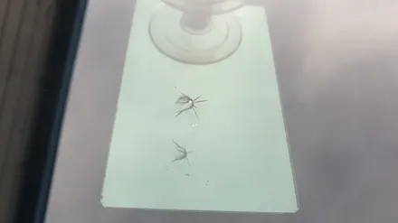 부산유리복원 돌빵 수리 / 부산 해운대