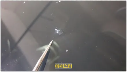 부산자동차유리복원 BMW X6 돌빵 수리했어요 / 부산 해운대