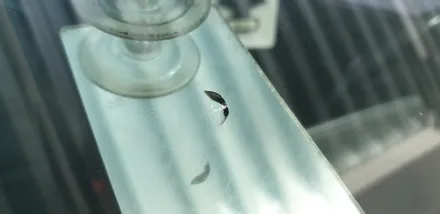 부산북구자동차유리복원 (덕천동, 구포) 출장 돌빵 수리 후기 / 부산 해운대
