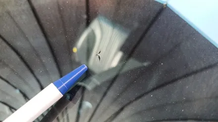 마산자동차유리복원 전문점 돌빵 수리 후기 / 부산 해운대