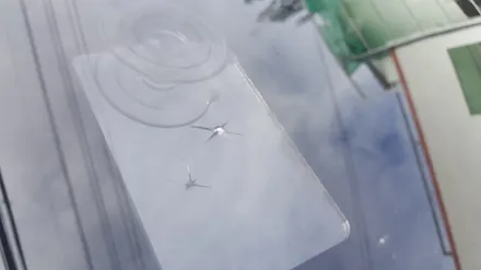 부산자동차유리복원*코란도*깨진차유리수리 전문점 Story / 부산 해운대