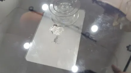 부산자동차유리복원 비용 가격!! 가성비 최고 마이스터 / 부산 해운대