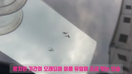 기장 해운대 자동차 유리복원 쏘울 돌빵 수리 전문점이에요! / 부산 해운대