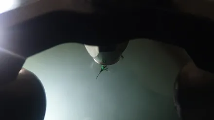 부산 자동차 앞유리복원 돌빵 수리로 유리 교체 비용 아끼는 법 / 부산 해운대