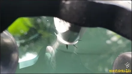 부산 차유리복원 작업을 제대로 해야 롱크랙으로 진행되지 않습니다 / 부산 해운대