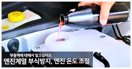 자동차 냉각수 부동액 차이점, 교체 교환 주기 및 비용 가격까지 총정리 / 부산 해운대