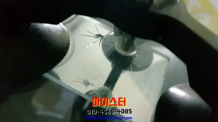 김해유리복원 빨리 수리해야죠 / 부산 해운대