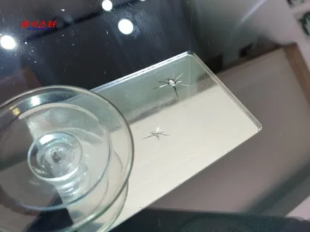 K5 자동차유리복원 돌빵수리(사상 화명동 만덕) / 부산 해운대