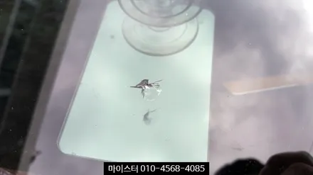 양산, 부산 유리용접 제대로 하는곳! / 부산 해운대