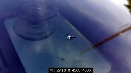 부산자동차유리용접 재규어 유리보수 작업하기 / 부산 해운대