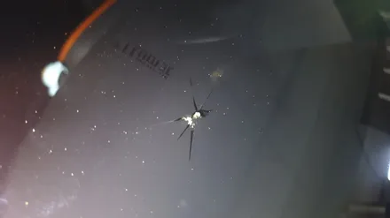 물금차유리용접 차유리 교환하지 않고 qm3 앞유리 돌빵 차유리 수리하기 / 부산 해운대