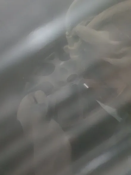 [남양주휠도색]닷지 챌린저 3.6 20인치 순정휠 블랙유광 휠복원&휠도색 + 캘리퍼도색 레드도장 (브렘보) / 남양주시 별내동