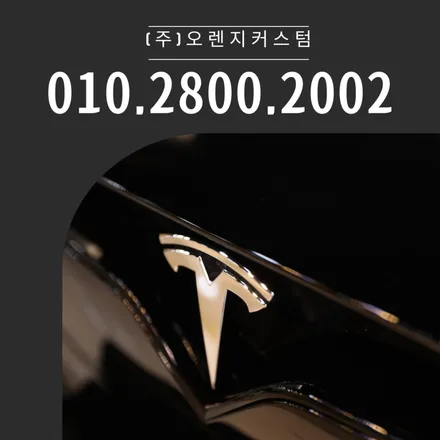테슬라 모델X 엑스펠 썬팅과 전체PPF 작업 / 용산, 마포, 중구