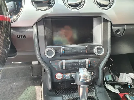 [표범샵]머스탱 실내 카본수전사 / 동탄,오산,수원