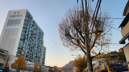 아우디 R8 퍼포먼스 스파이더 정비 고수 제이앤모터스 에서 오일 교체 정품 오일필터 정품 듀얼 에어클리너 냉각수 보충