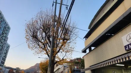 아우디 R8 퍼포먼스 스파이더 정비 고수 제이앤모터스 에서 오일 교체 정품 오일필터 정품 듀얼 에어클리너 냉각수 보충