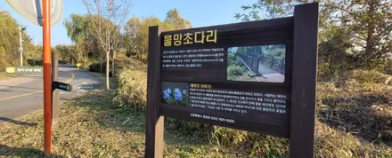 퀵 주문 당일 설치 아우디 A6 12.3인치 모니터 카인원프로맥스Q