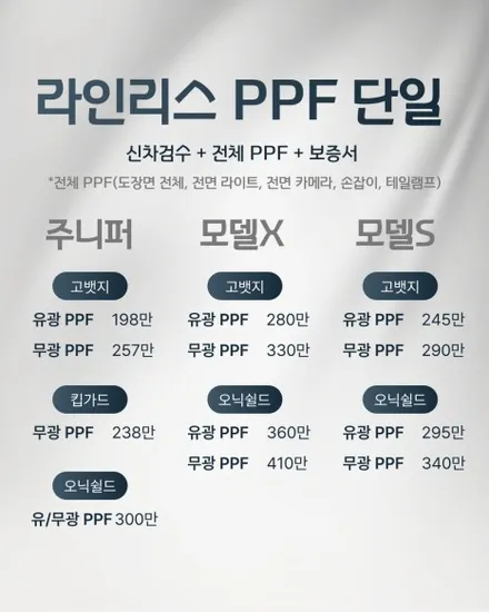 성남 PPF 테슬라 주니퍼 킵가드 무광 시공가격 & 후기 / 경기 성남