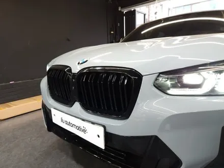 BMW G02 X4 아이코닉 글로우 프론트 그릴