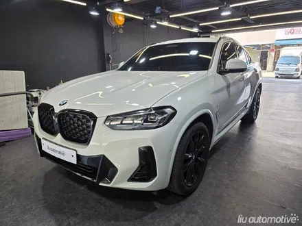 BMW 그릴 교체 G02 X4 아이코닉 글로우.