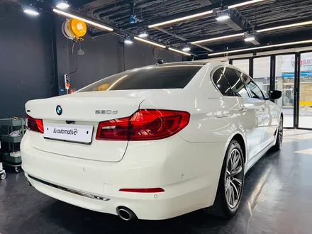 BMW G30 5시리즈 LCI 테일램프 교체 순정 부품. 믿을 수 있는 순정 테일램프.
