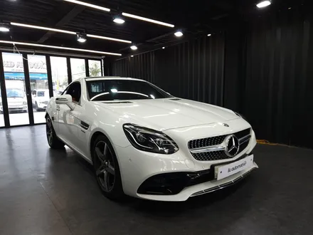 벤츠 SLC 세로그릴.