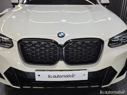 BMW 그릴 교체 G02 X4 아이코닉 글로우.