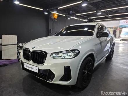 BMW 그릴 교체 G02 X4 아이코닉 글로우.