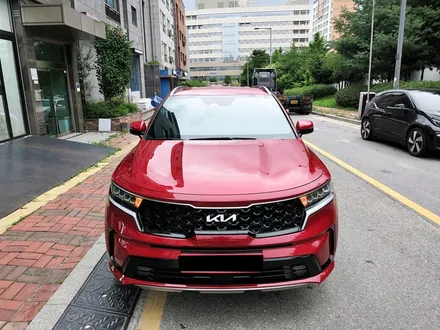 mq4 쏘렌토 하이브리드 수원 솔라가드 새턴 신차패키지
