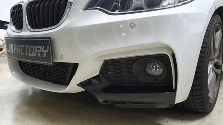 BMW 2시리즈 포인트랩핑+사이드데칼+사이드미러랩핑[#화성랩핑#동탄랩핑#수원랩핑#진팩토리#BMW스플리터#스플리터랩핑#BMW사이드데칼#F22사이드데칼] / 화성 동탄