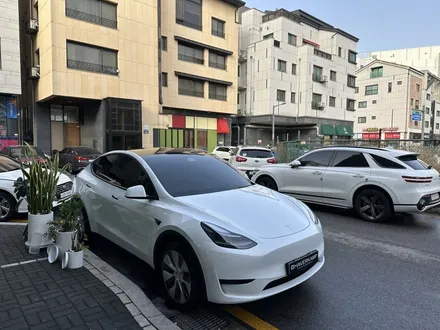 테슬라 모델Y 썬팅은 비반사 필름! 열차단 훌륭한 블락포디 / 하남 망월동