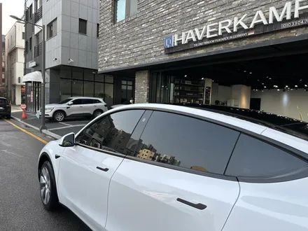 테슬라 모델Y 썬팅은 비반사 필름! 열차단 훌륭한 블락포디 / 하남 망월동