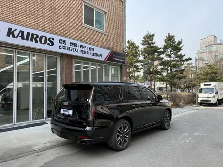 캐딜락 에스컬레이드 코치라인 포인트 데칼 랩핑 카이로스 하남본점 / 하남 망월동